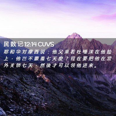 Picture 02 - 民 数 记 12:14 CUVS - 耶 和 华 对 摩 西 说 ： 他 父 亲 若 - Bible Verse Picture