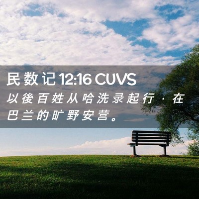 Picture 02 - 民 数 记 12:16 CUVS - 以 後 百 姓 从 哈 洗 录 起 行 ， 在 - Bible Verse Picture