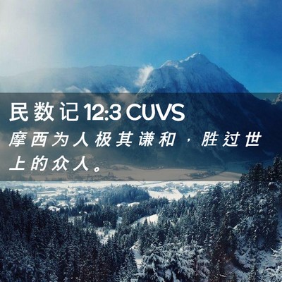 Picture 02 - 民 数 记 12:3 CUVS - 摩 西 为 人 极 其 谦 和 ， 胜 过 世 - Bible Verse Picture
