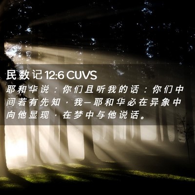 Picture 02 - 民 数 记 12:6 CUVS - 耶 和 华 说 ： 你 们 且 听 我 的 话 - Bible Verse Picture