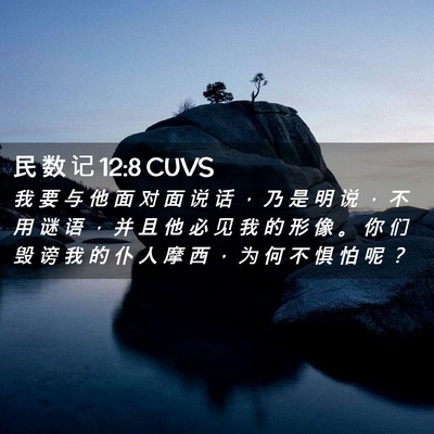 Picture 02 - 民 数 记 12:8 CUVS - 我 要 与 他 面 对 面 说 话 ， 乃 是 - Bible Verse Picture