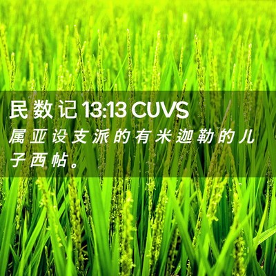 Picture 02 - 民 数 记 13:13 CUVS - 属 亚 设 支 派 的 有 米 迦 勒 的 儿 - Bible Verse Picture