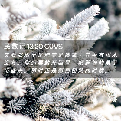 Picture 02 - 民 数 记 13:20 CUVS - 又 看 那 地 土 是 肥 美 是 瘠 薄 ， - Bible Verse Picture
