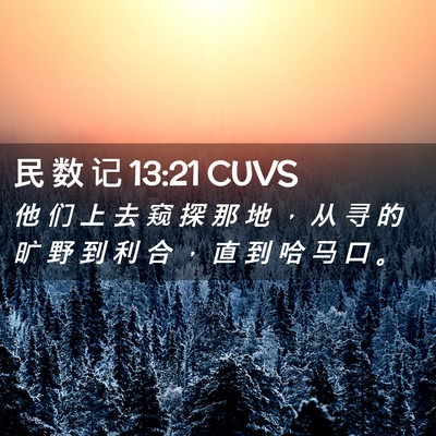 Picture 02 - 民 数 记 13:21 CUVS - 他 们 上 去 窥 探 那 地 ， 从 寻 的 - Bible Verse Picture