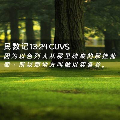 Picture 02 - 民 数 记 13:24 CUVS - 因 为 以 色 列 人 从 那 里 砍 来 的 - Bible Verse Picture