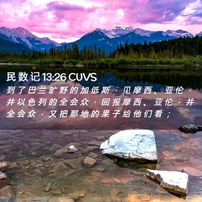 Picture 02 - 民 数 记 13:26 CUVS - 到 了 巴 兰 旷 野 的 加 低 斯 ， 见 - Bible Verse Picture