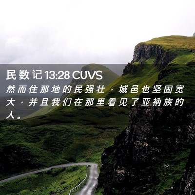 Picture 02 - 民 数 记 13:28 CUVS - 然 而 住 那 地 的 民 强 壮 ， 城 邑 - Bible Verse Picture