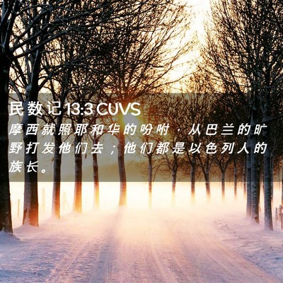 Picture 02 - 民 数 记 13:3 CUVS - 摩 西 就 照 耶 和 华 的 吩 咐 ， 从 - Bible Verse Picture