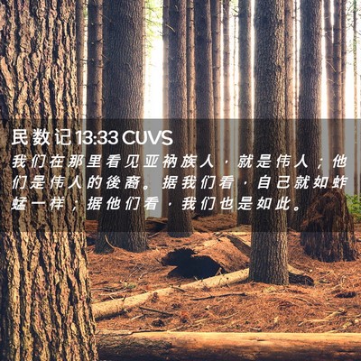 Picture 02 - 民 数 记 13:33 CUVS - 我 们 在 那 里 看 见 亚 衲 族 人 ， - Bible Verse Picture