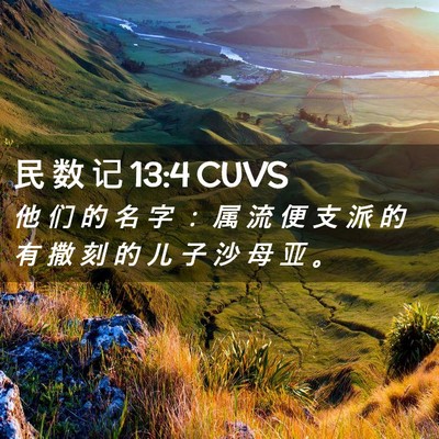 Picture 02 - 民 数 记 13:4 CUVS - 他 们 的 名 字 ： 属 流 便 支 派 的 - Bible Verse Picture