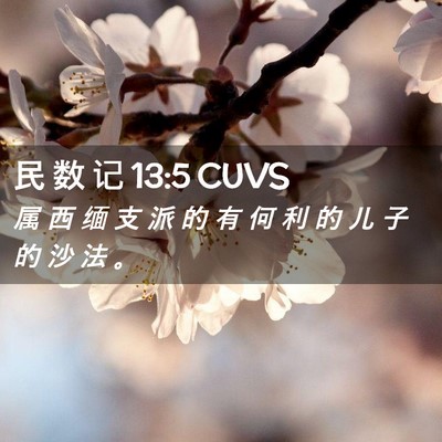 Picture 02 - 民 数 记 13:5 CUVS - 属 西 缅 支 派 的 有 何 利 的 儿 子 - Bible Verse Picture