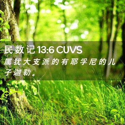 Picture 02 - 民 数 记 13:6 CUVS - 属 犹 大 支 派 的 有 耶 孚 尼 的 儿 - Bible Verse Picture