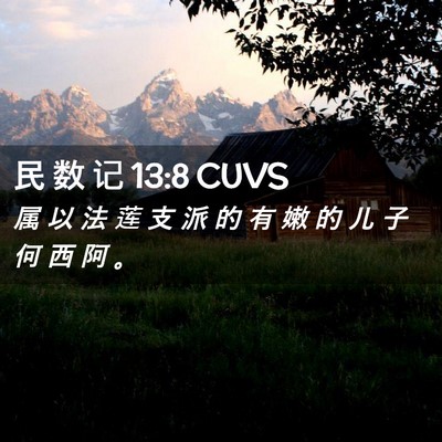 Picture 02 - 民 数 记 13:8 CUVS - 属 以 法 莲 支 派 的 有 嫩 的 儿 子 - Bible Verse Picture