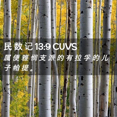 Picture 02 - 民 数 记 13:9 CUVS - 属 便 雅 悯 支 派 的 有 拉 孚 的 儿 - Bible Verse Picture