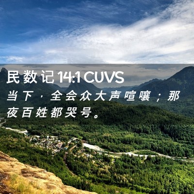 Picture 02 - 民 数 记 14:1 CUVS - 当 下 ， 全 会 众 大 声 喧 嚷 ； 那 - Bible Verse Picture