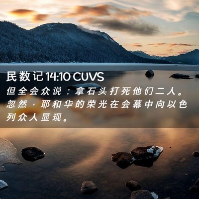 Picture 02 - 民 数 记 14:10 CUVS - 但 全 会 众 说 ： 拿 石 头 打 死 他 - Bible Verse Picture