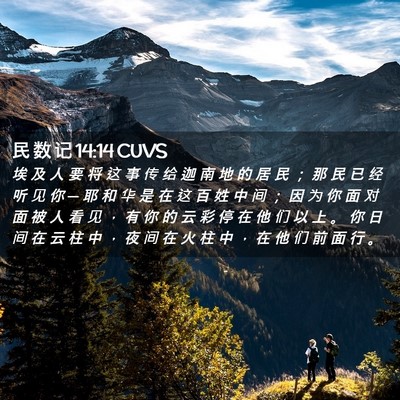Picture 02 - 民 数 记 14:14 CUVS - 埃 及 人 要 将 这 事 传 给 迦 南 地 - Bible Verse Picture