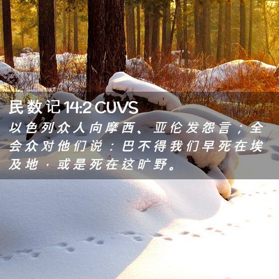 Picture 02 - 民 数 记 14:2 CUVS - 以 色 列 众 人 向 摩 西 、 亚 伦 发 - Bible Verse Picture
