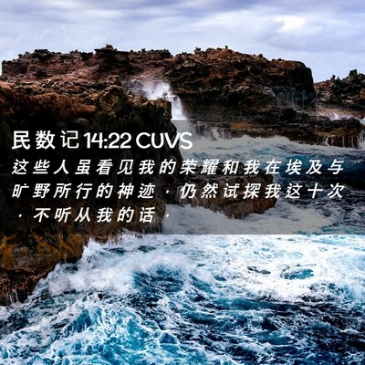 Picture 02 - 民 数 记 14:22 CUVS - 这 些 人 虽 看 见 我 的 荣 耀 和 我 - Bible Verse Picture