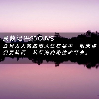 Picture 02 - 民 数 记 14:25 CUVS - 亚 玛 力 人 和 迦 南 人 住 在 谷 中 - Bible Verse Picture