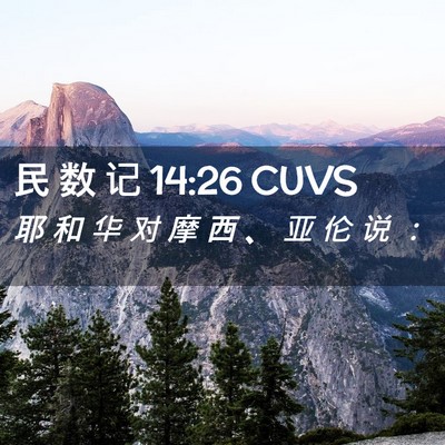 Picture 02 - 民 数 记 14:26 CUVS - 耶 和 华 对 摩 西 、 亚 伦 说 - Bible Verse Picture