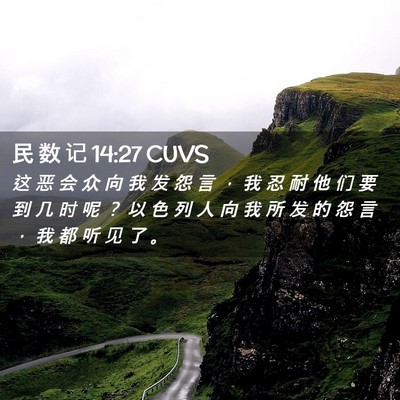 Picture 02 - 民 数 记 14:27 CUVS - 这 恶 会 众 向 我 发 怨 言 ， 我 忍 - Bible Verse Picture