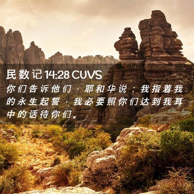 Picture 02 - 民 数 记 14:28 CUVS - 你 们 告 诉 他 们 ， 耶 和 华 说 ： - Bible Verse Picture