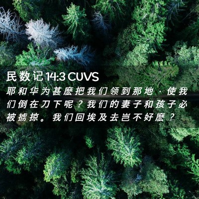 Picture 02 - 民 数 记 14:3 CUVS - 耶 和 华 为 甚 麽 把 我 们 领 到 那 - Bible Verse Picture