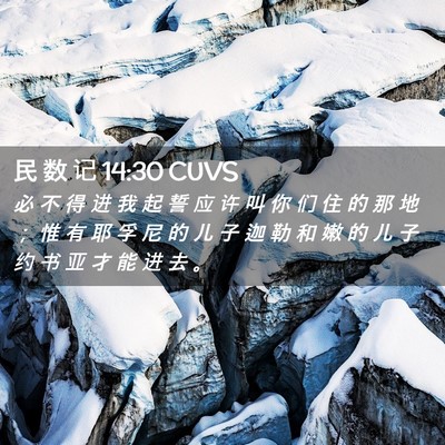 Picture 02 - 民 数 记 14:30 CUVS - 必 不 得 进 我 起 誓 应 许 叫 你 们 - Bible Verse Picture