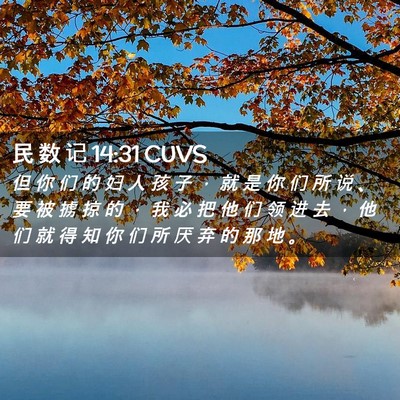 Picture 02 - 民 数 记 14:31 CUVS - 但 你 们 的 妇 人 孩 子 ， 就 是 你 - Bible Verse Picture