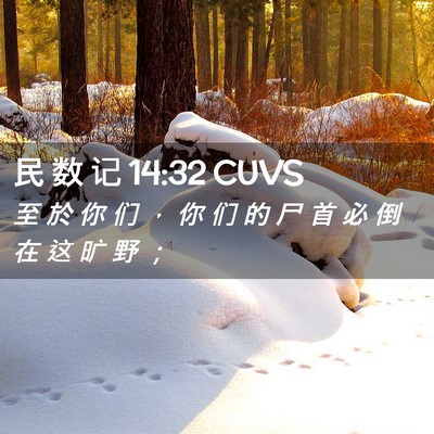 Picture 02 - 民 数 记 14:32 CUVS - 至 於 你 们 ， 你 们 的 尸 首 必 倒 - Bible Verse Picture