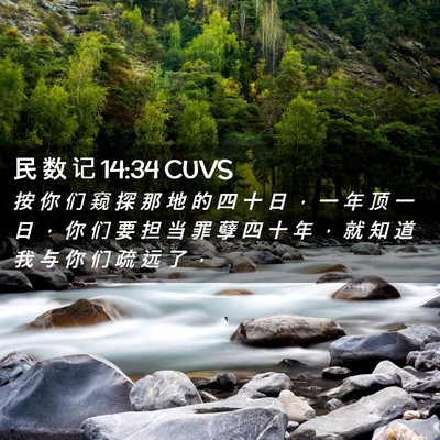 Picture 02 - 民 数 记 14:34 CUVS - 按 你 们 窥 探 那 地 的 四 十 日 ， - Bible Verse Picture