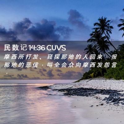 Picture 02 - 民 数 记 14:36 CUVS - 摩 西 所 打 发 、 窥 探 那 地 的 人 - Bible Verse Picture