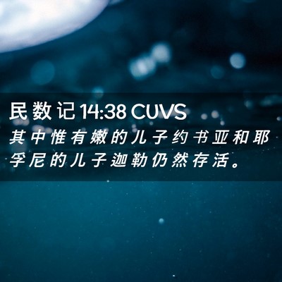 Picture 02 - 民 数 记 14:38 CUVS - 其 中 惟 有 嫩 的 儿 子 约 书 亚 和 - Bible Verse Picture