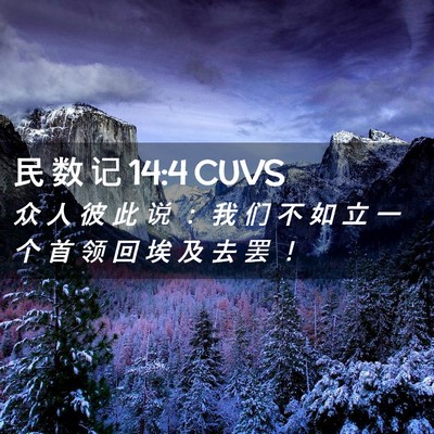 Picture 02 - 民 数 记 14:4 CUVS - 众 人 彼 此 说 ： 我 们 不 如 立 一 - Bible Verse Picture