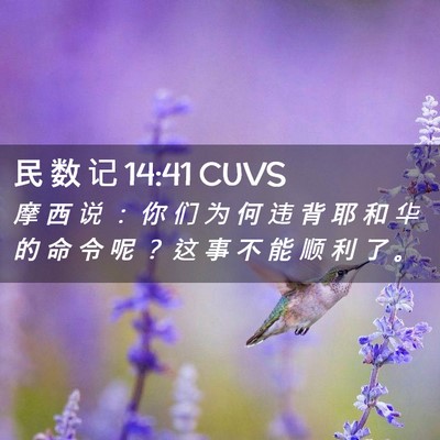 Picture 02 - 民 数 记 14:41 CUVS - 摩 西 说 ： 你 们 为 何 违 背 耶 和 - Bible Verse Picture
