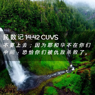 Picture 02 - 民 数 记 14:42 CUVS - 不 要 上 去 ； 因 为 耶 和 华 不 在 - Bible Verse Picture