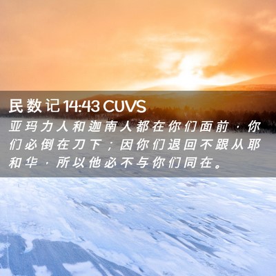 Picture 02 - 民 数 记 14:43 CUVS - 亚 玛 力 人 和 迦 南 人 都 在 你 们 - Bible Verse Picture