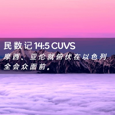 Picture 02 - 民 数 记 14:5 CUVS - 摩 西 、 亚 伦 就 俯 伏 在 以 色 列 - Bible Verse Picture