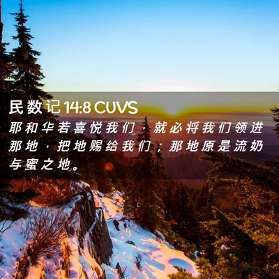 Picture 02 - 民 数 记 14:8 CUVS - 耶 和 华 若 喜 悦 我 们 ， 就 必 将 - Bible Verse Picture