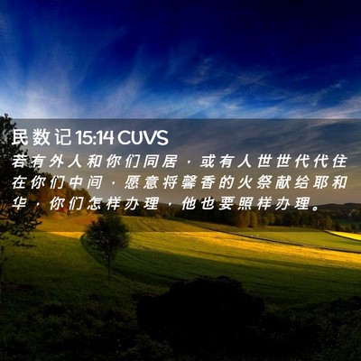 Picture 02 - 民 数 记 15:14 CUVS - 若 有 外 人 和 你 们 同 居 ， 或 有 - Bible Verse Picture