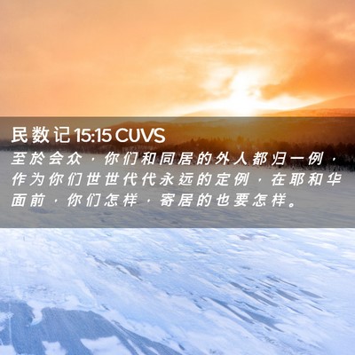Picture 02 - 民 数 记 15:15 CUVS - 至 於 会 众 ， 你 们 和 同 居 的 外 - Bible Verse Picture