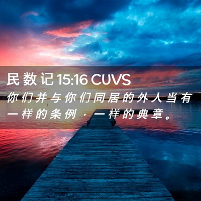 Picture 02 - 民 数 记 15:16 CUVS - 你 们 并 与 你 们 同 居 的 外 人 当 - Bible Verse Picture