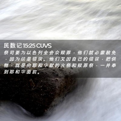 Picture 02 - 民 数 记 15:25 CUVS - 祭 司 要 为 以 色 列 全 会 众 赎 罪 - Bible Verse Picture