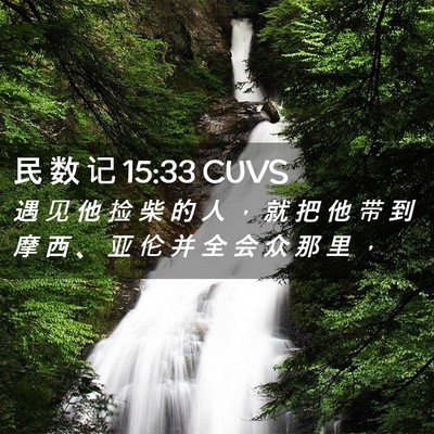 Picture 02 - 民 数 记 15:33 CUVS - 遇 见 他 捡 柴 的 人 ， 就 把 他 带 - Bible Verse Picture