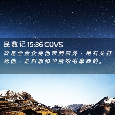 Picture 02 - 民 数 记 15:36 CUVS - 於 是 全 会 众 将 他 带 到 营 外 ， - Bible Verse Picture