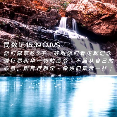 Picture 02 - 民 数 记 15:39 CUVS - 你 们 佩 带 这 ? 子 ， 好 叫 你 们 看 - Bible Verse Picture