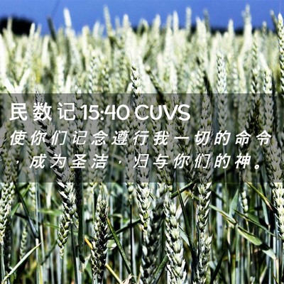Picture 02 - 民 数 记 15:40 CUVS - 使 你 们 记 念 遵 行 我 一 切 的 命 - Bible Verse Picture