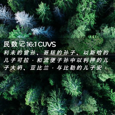 Picture 02 - 民 数 记 16:1 CUVS - 利 未 的 曾 孙 、 哥 辖 的 孙 子 、 - Bible Verse Picture