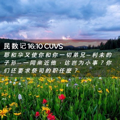 Picture 02 - 民 数 记 16:10 CUVS - 耶 和 华 又 使 你 和 你 一 切 弟 兄 - Bible Verse Picture